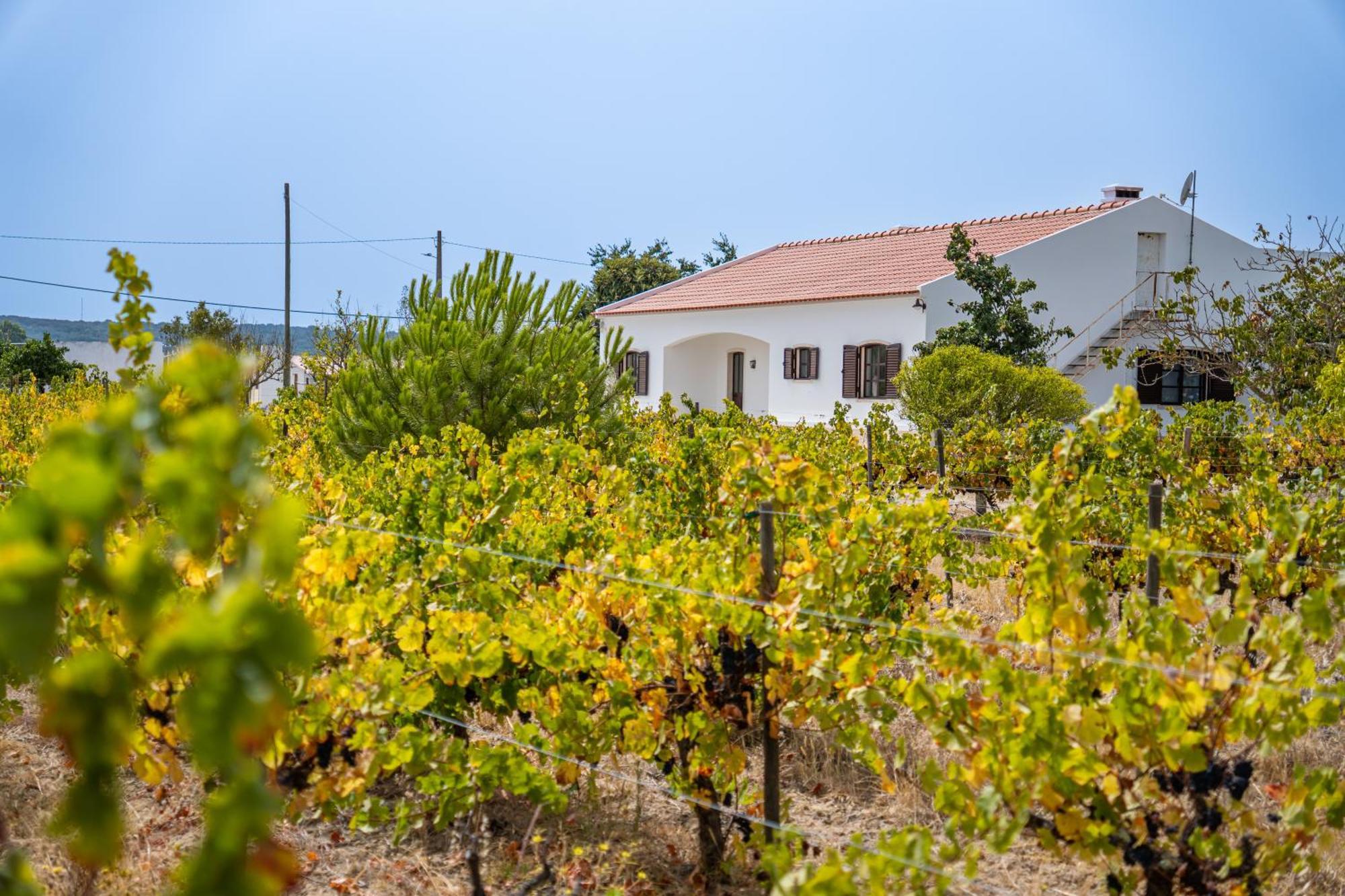 Villa Quinta Do Quartel Évora Exterior foto